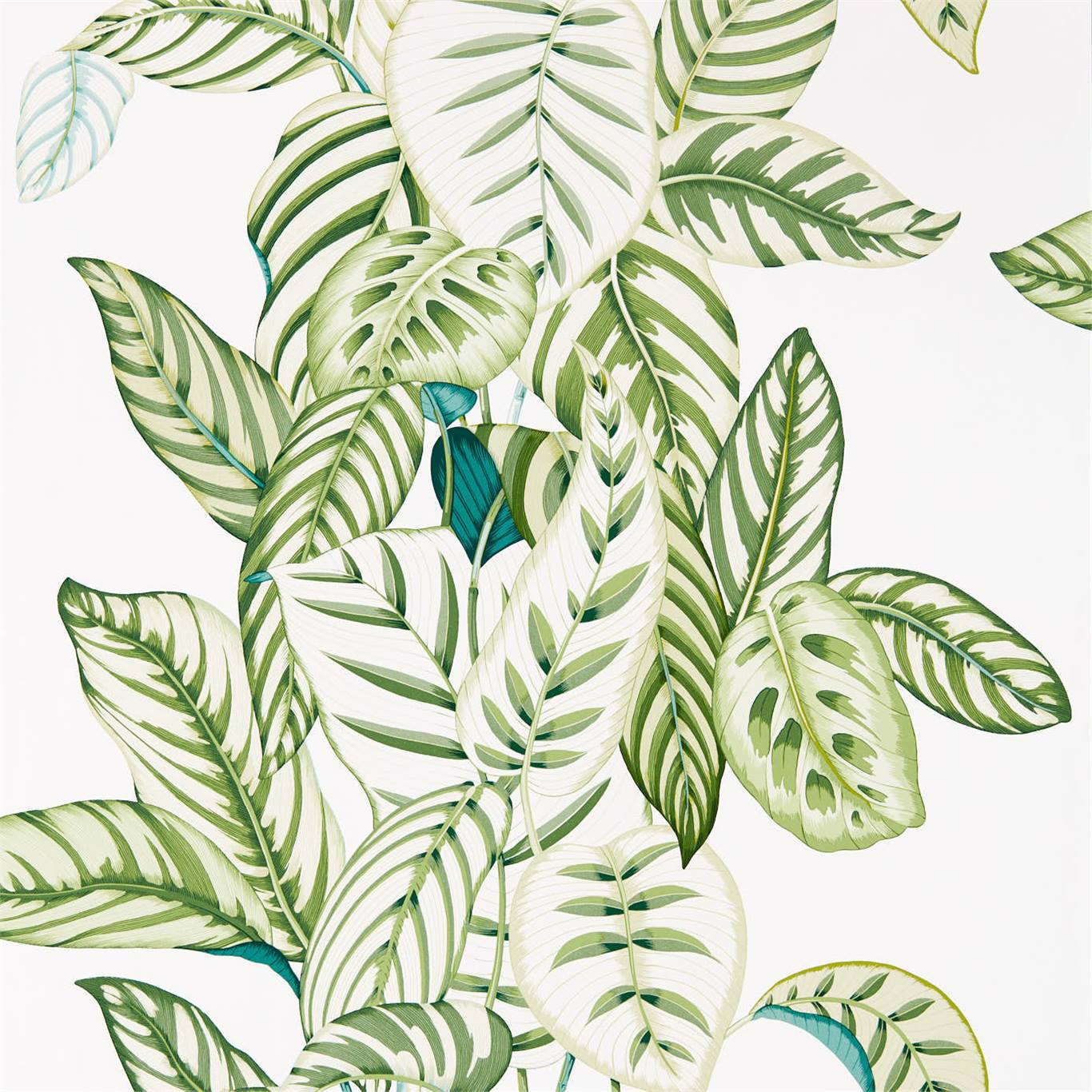 Calathea Wallpaper - Botanical Green - Sanderson - DGLW216630 - Premier Wallcovering