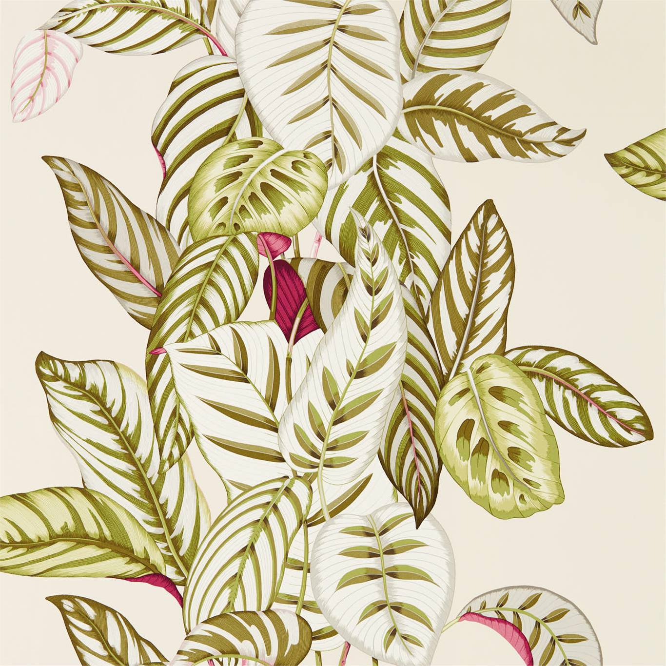 Calathea Wallpaper - Olive - Sanderson - DGLW216631 - Premier Wallcovering