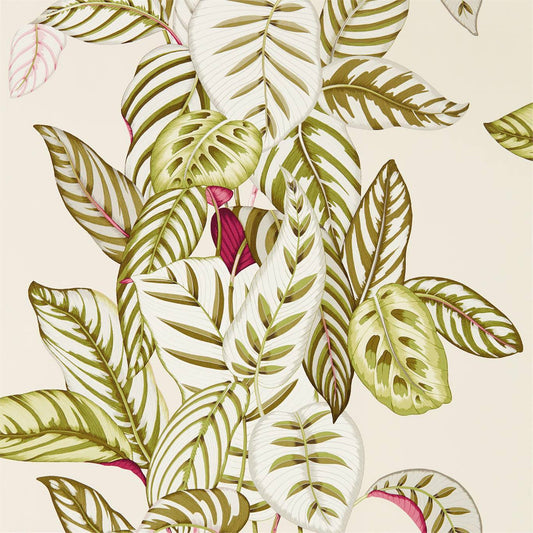 Calathea Wallpaper - Olive - Sanderson - DGLW216631 - Premier Wallcovering