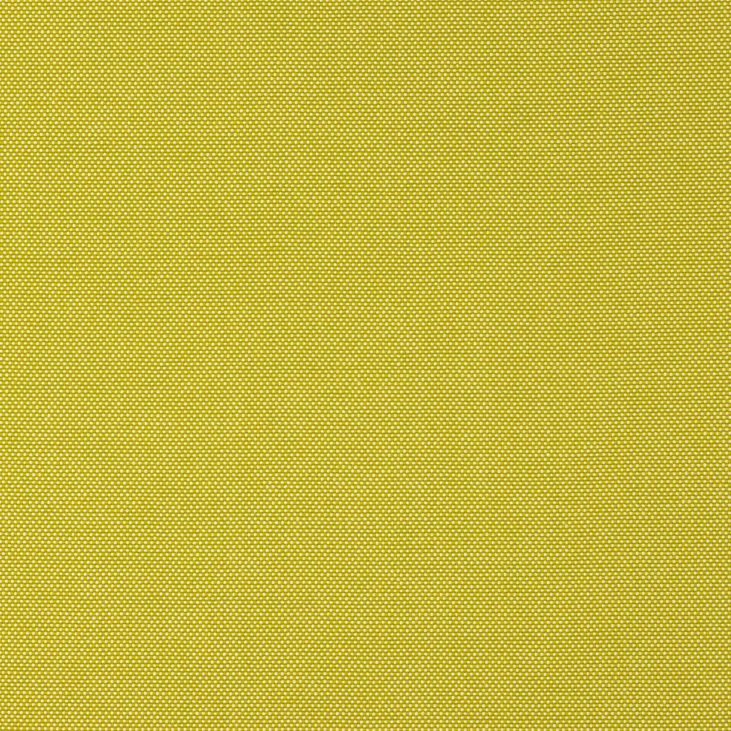 Calvi Fabric - Pistache - Manuel Canovas - M4127-05 - Premier Wallcovering