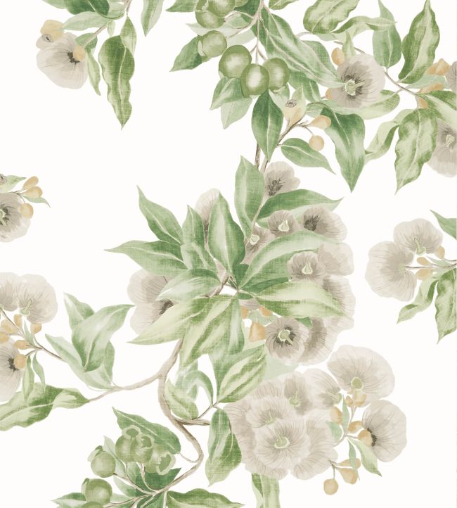 Camellia Garden Wallpaper - Spring on White - AT24551 - Anna French - Premier Wallcovering