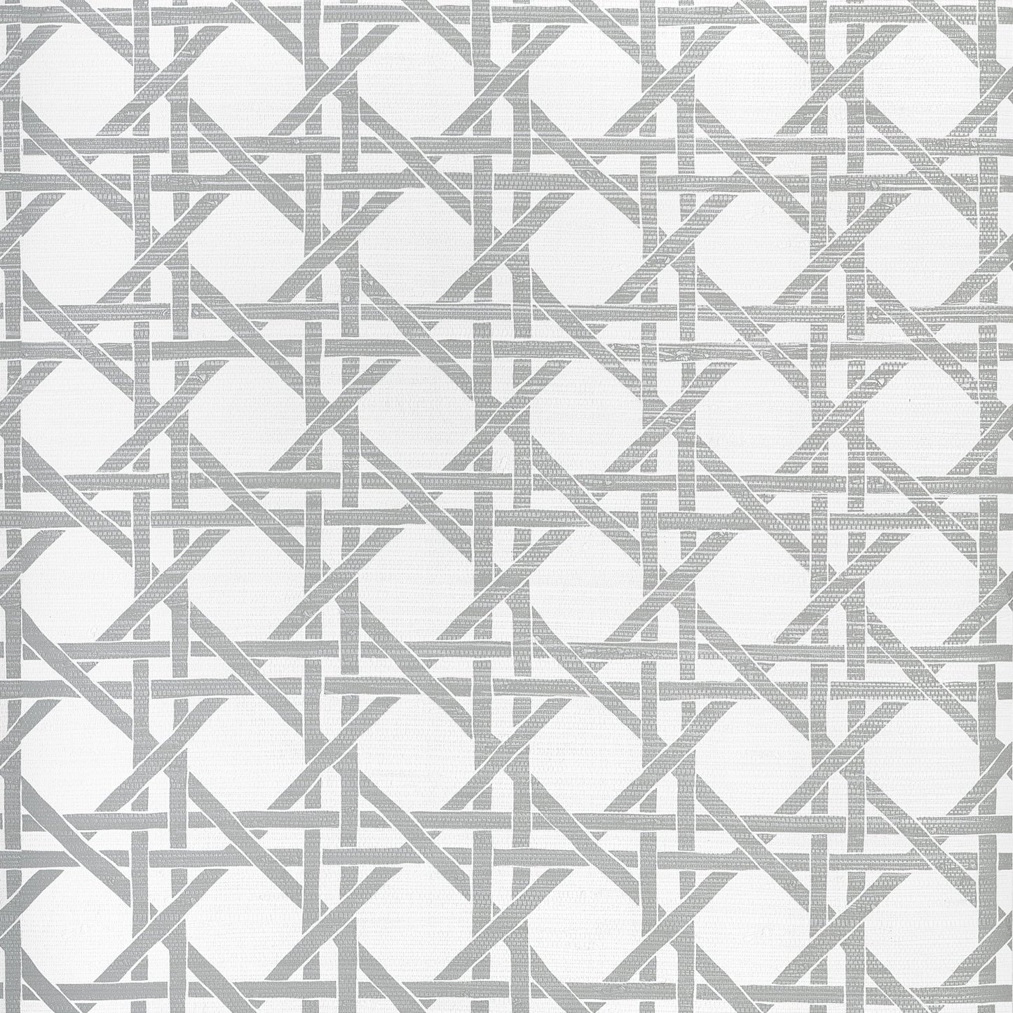 Canary Trellis Wallpaper - Metallic Silver - Thibaut - T15822 - Premier Wallcovering