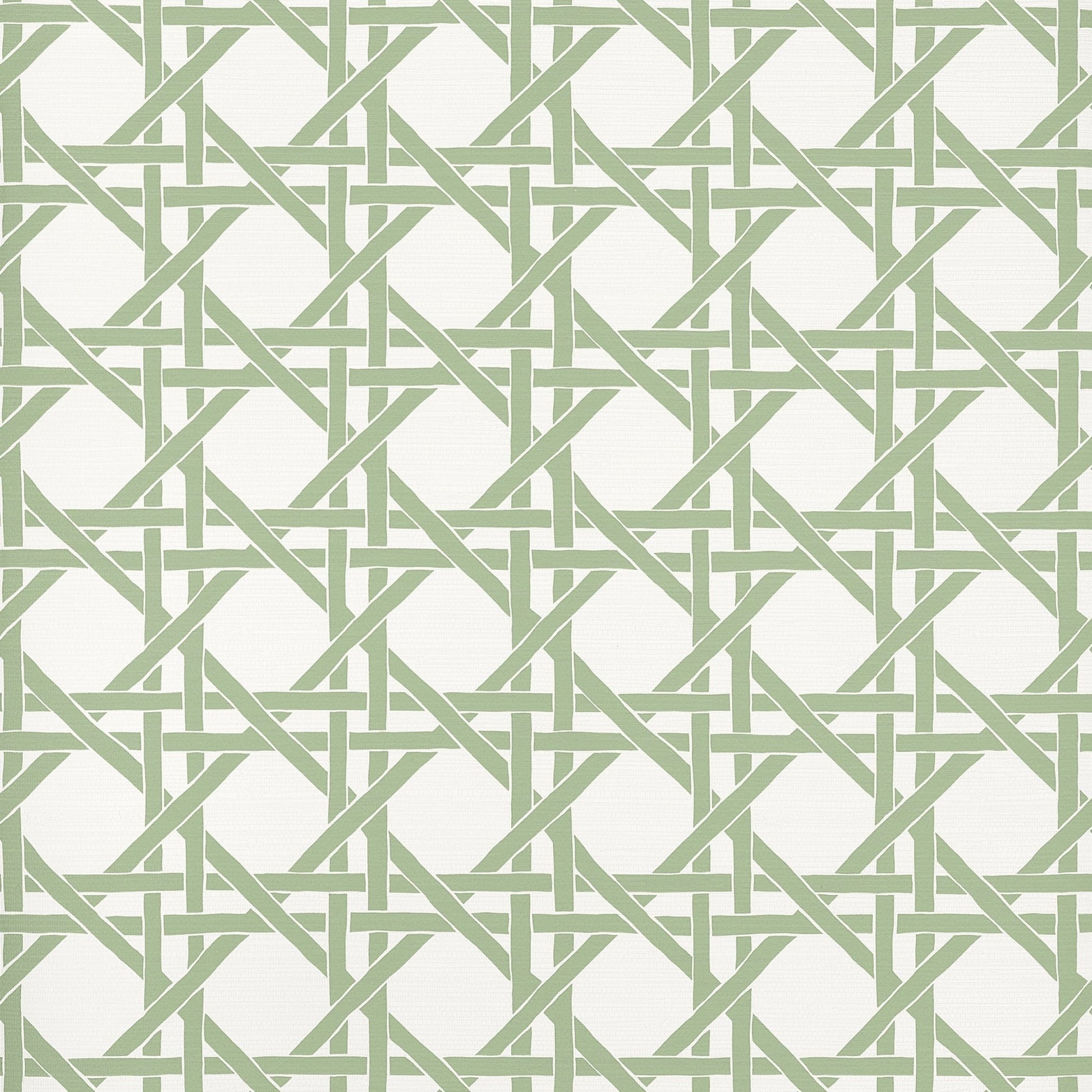 Canary Trellis Wallpaper - Willow - Thibaut - T15820 - Premier Wallcovering