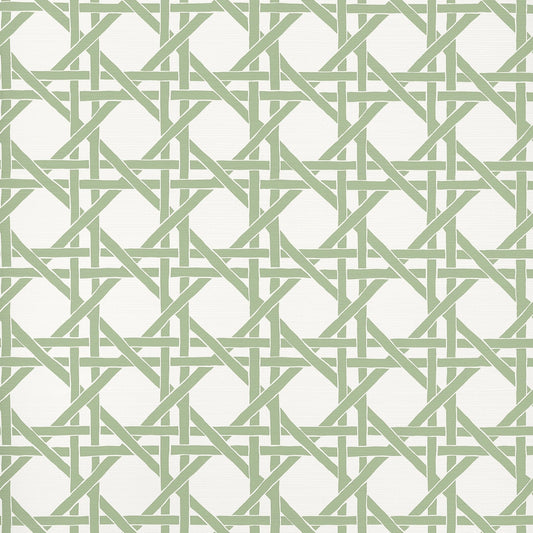 Canary Trellis Wallpaper - Willow - Thibaut - T15820 - Premier Wallcovering