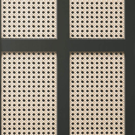 Cane Panel Wallpaper - Black - Fine Décor - FD42998 - Premier Wallcovering