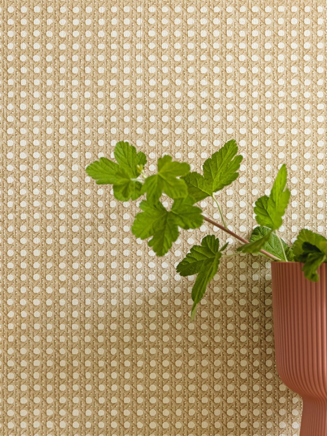 Cannage Wallpaper - Beige - Caselio - 106021000 - Premier Wallcovering