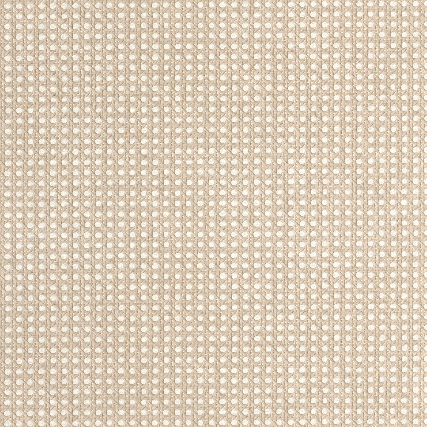 Cannage Wallpaper - Taupe - Caselio - 106022050 - Premier Wallcovering