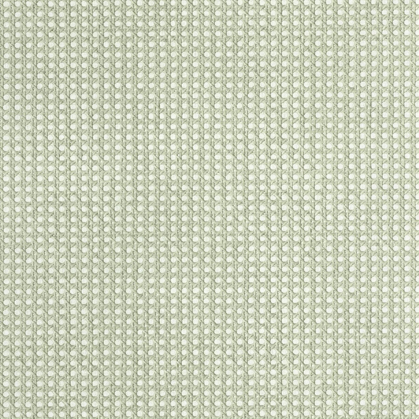 Cannage Wallpaper - Vert - Caselio - 106027050 - Premier Wallcovering