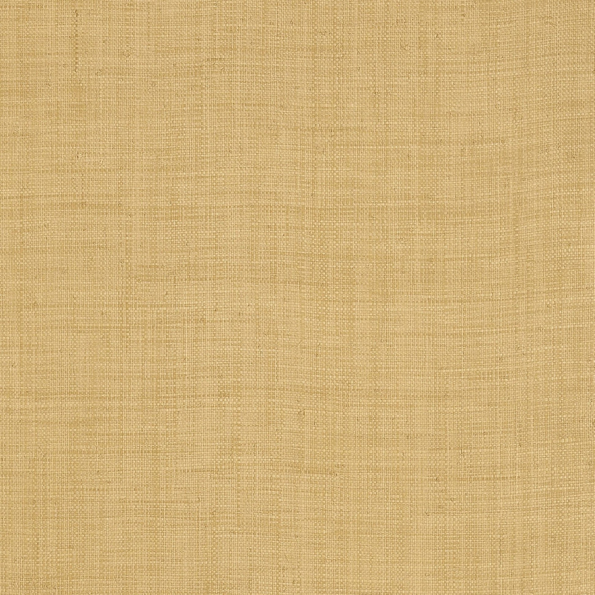 Carolina Raffia Wallpaper - Straw - Thibaut - T13039 - Premier Wallcovering