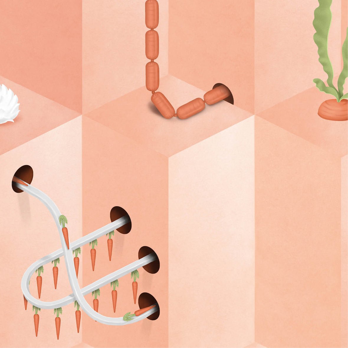 Carrot Wall Mural - Pink - NLXL - SUZ - 01 - Premier Wallcovering
