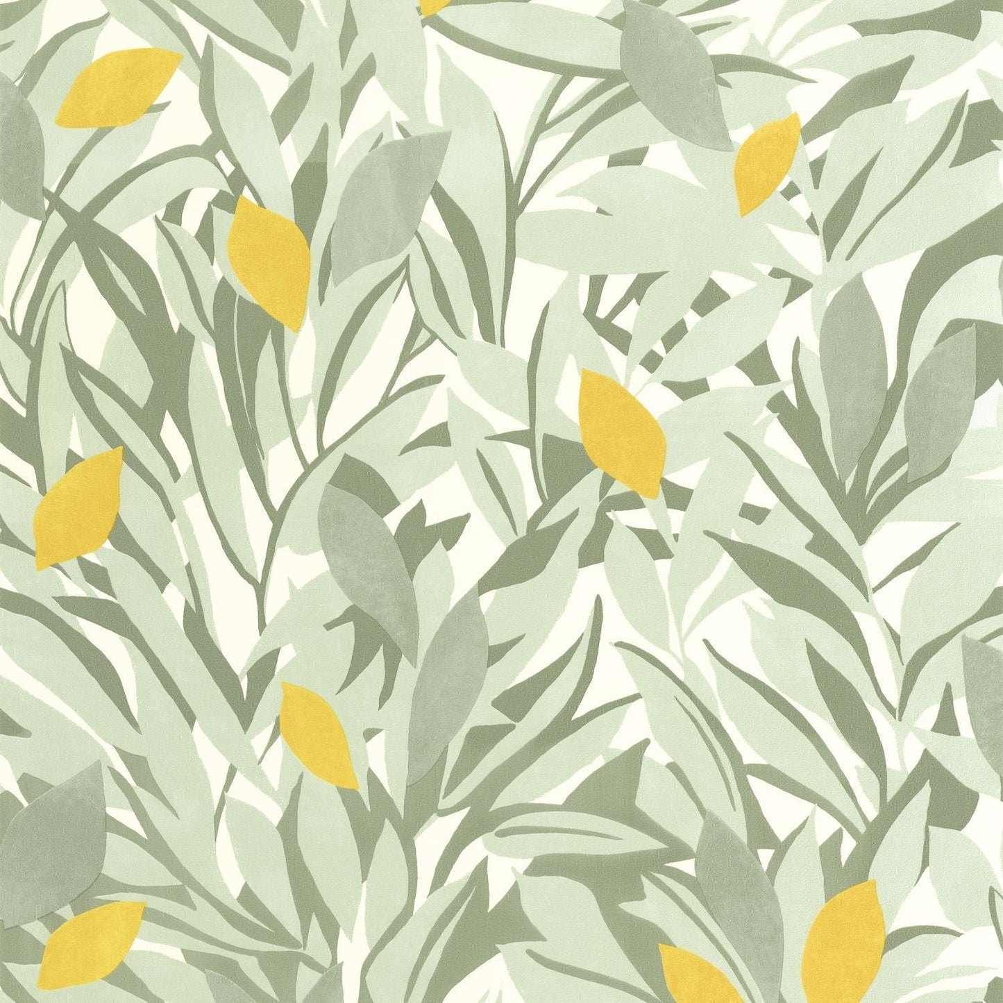 Cassis Wallpaper -  Kaki Jaune - Caselio - 105457243 - Premier Wallcovering