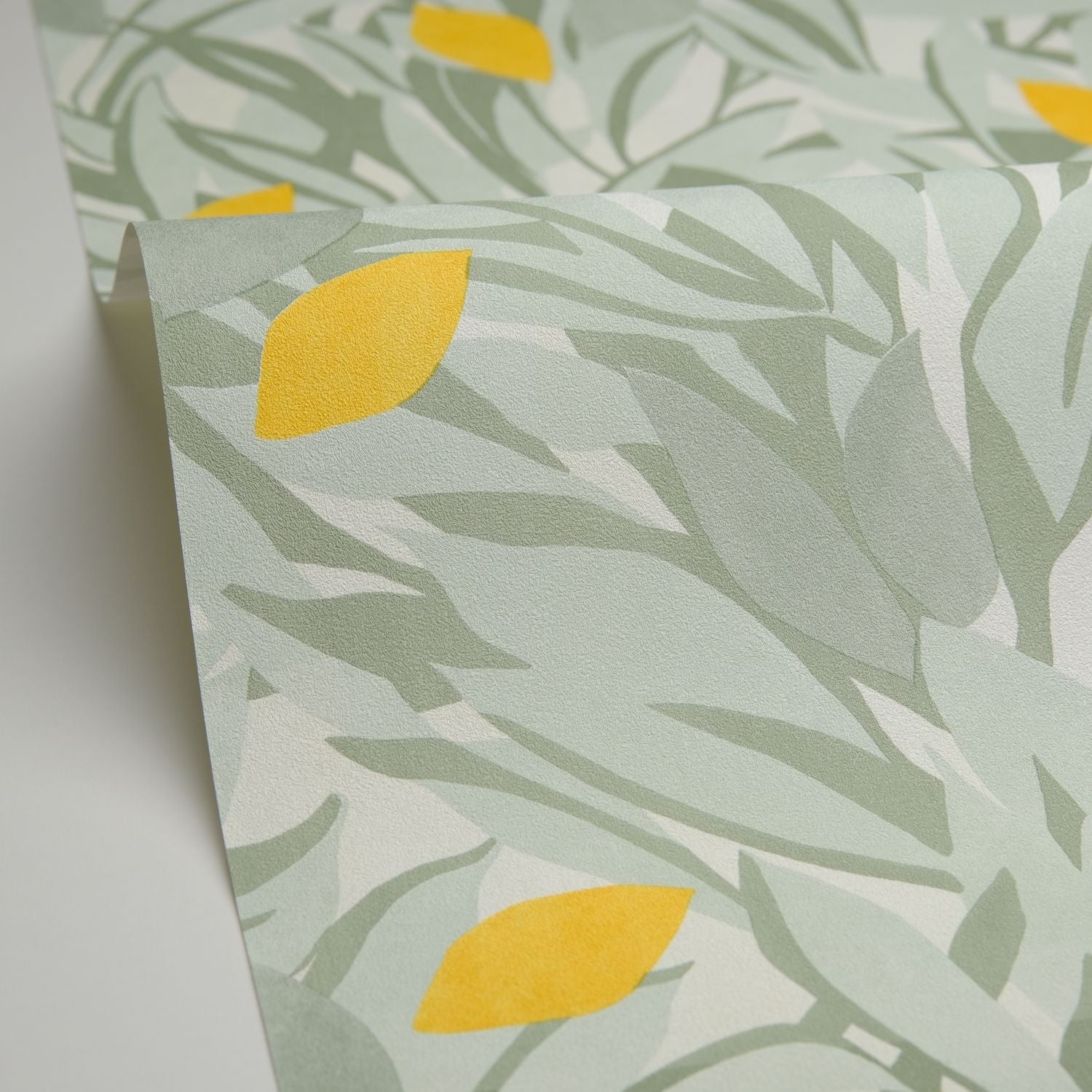 Cassis Wallpaper -  Kaki Jaune - Caselio - 105457243 - Premier Wallcovering