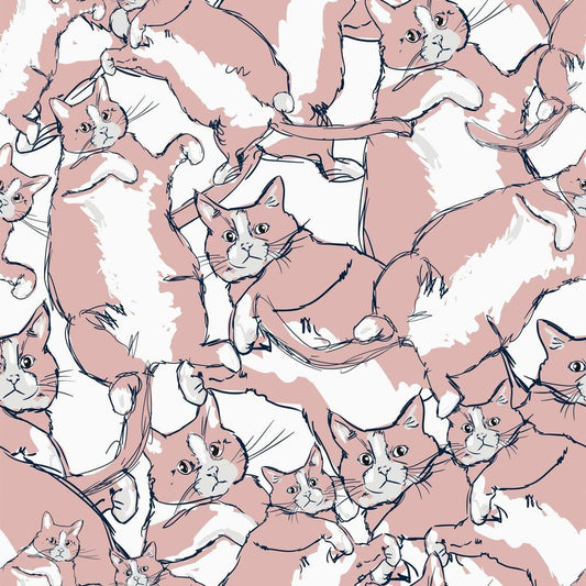 Cat - astrophe Wallpaper - Blush Pink & Navy - Lust Home - LH900250 - Premier Wallcovering