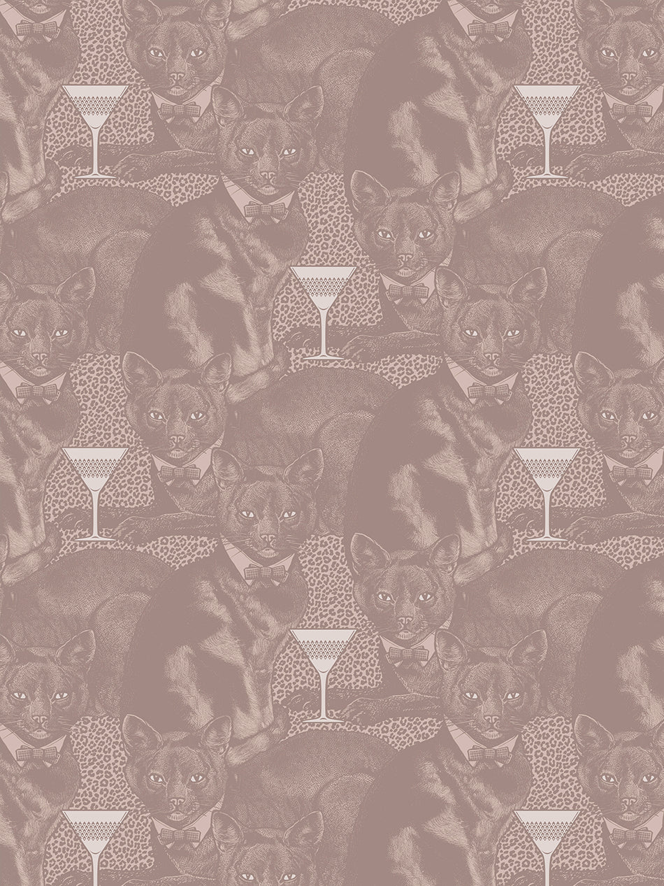 Cat-titude Wallpaper - Ginger Tom - Divine Savages - DVS113-CAT-TOM-WR - Premier Wallcovering