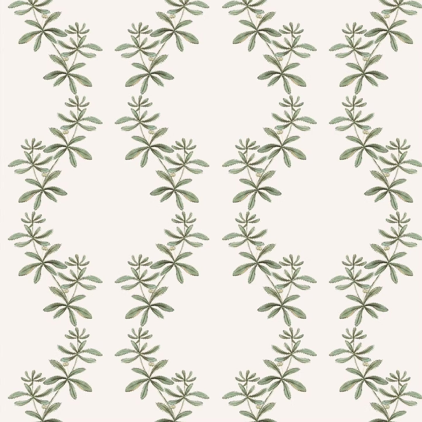 Catchweed Wallpaper - Green - Ottoline - W/SWIR/101/1 - Premier Wallcovering