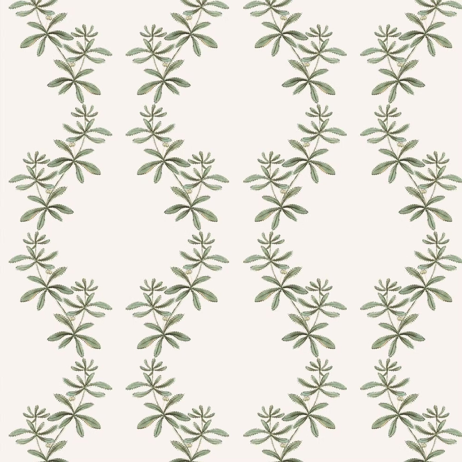 Catchweed Wallpaper - Green - Ottoline - W/SWIR/101/1 - Premier Wallcovering