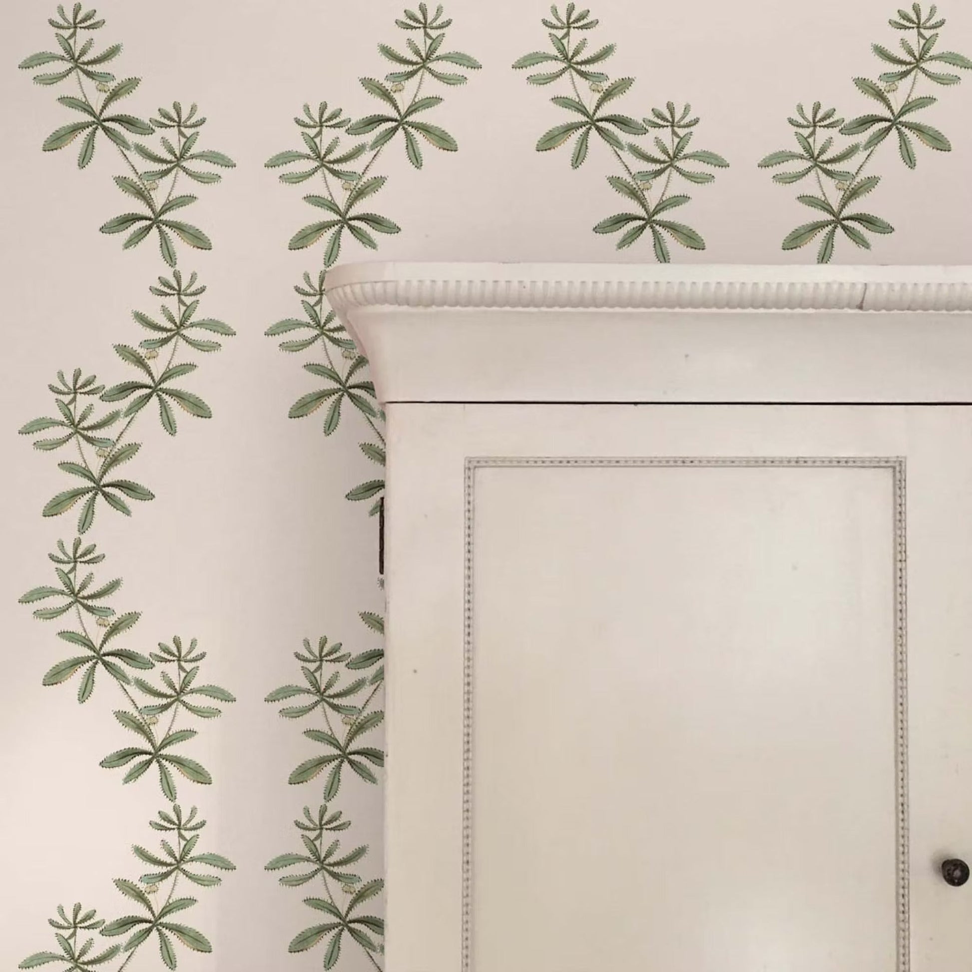 Catchweed Wallpaper - Green - Ottoline - W/SWIR/101/1 - Premier Wallcovering