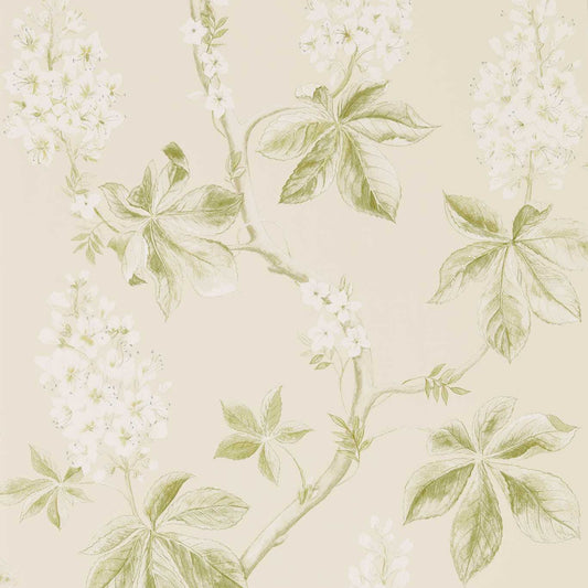 Chestnut Tree Wallpaper - Lemon/Lettuce - Sanderson - DWOW215707 - Premier Wallcovering