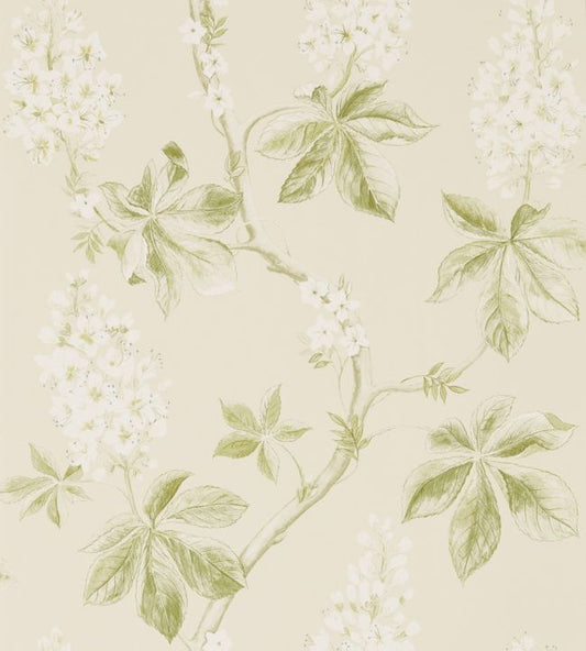 Chestnut Tree Wallpaper - Lemon/Lettuce - DWOW215707 - Sanderson - Premier Wallcovering