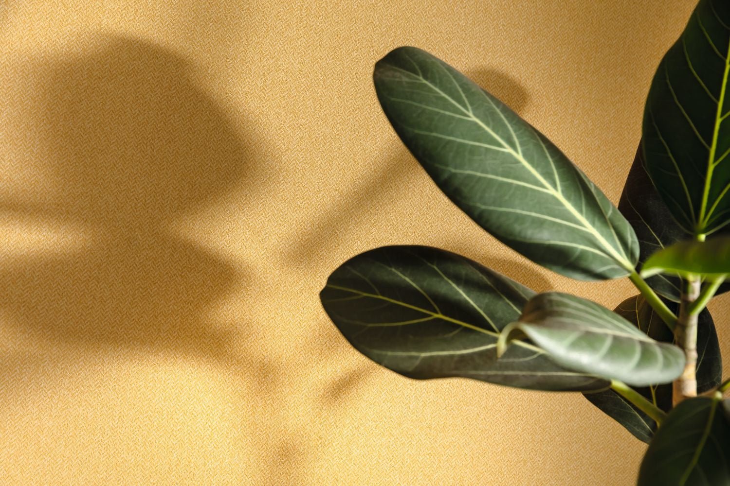 Chevron Uni Wallpaper - Ocre - Caselio - 102222525 - Premier Wallcovering