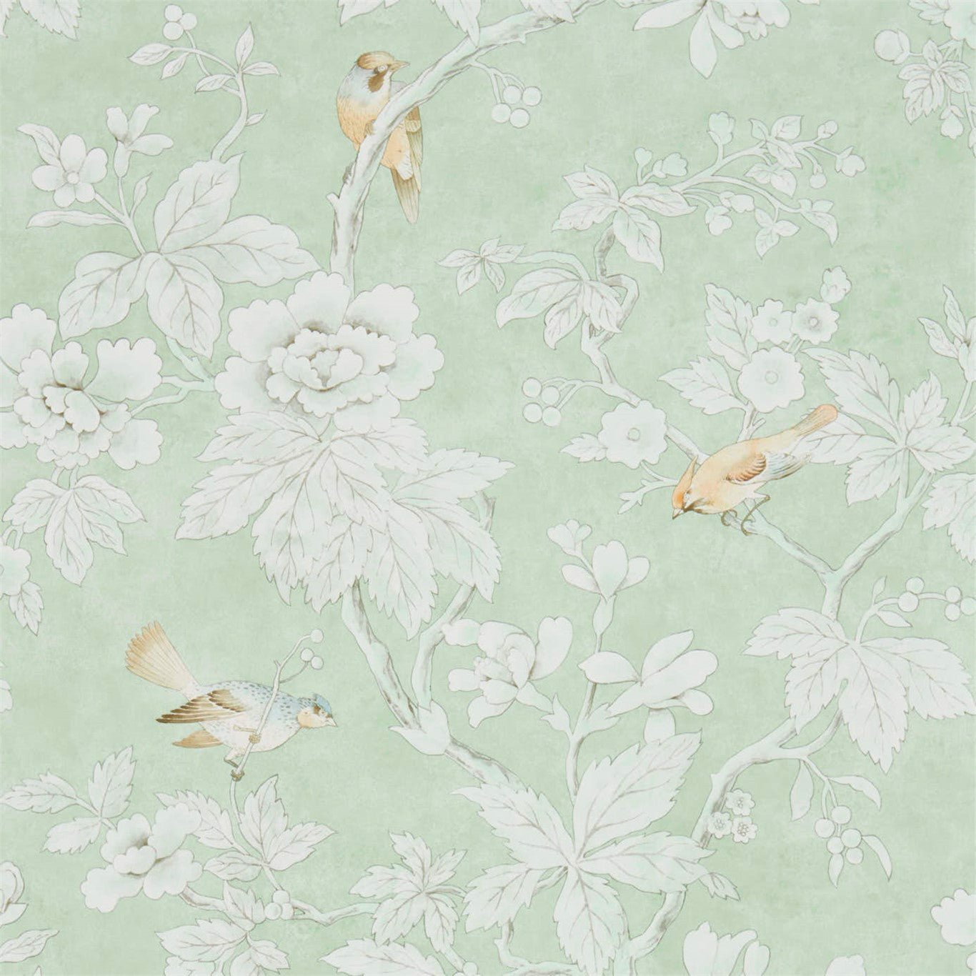 Chiswick Grove Wallpaper - Sage - Sanderson - DDAM216387 - Premier Wallcovering