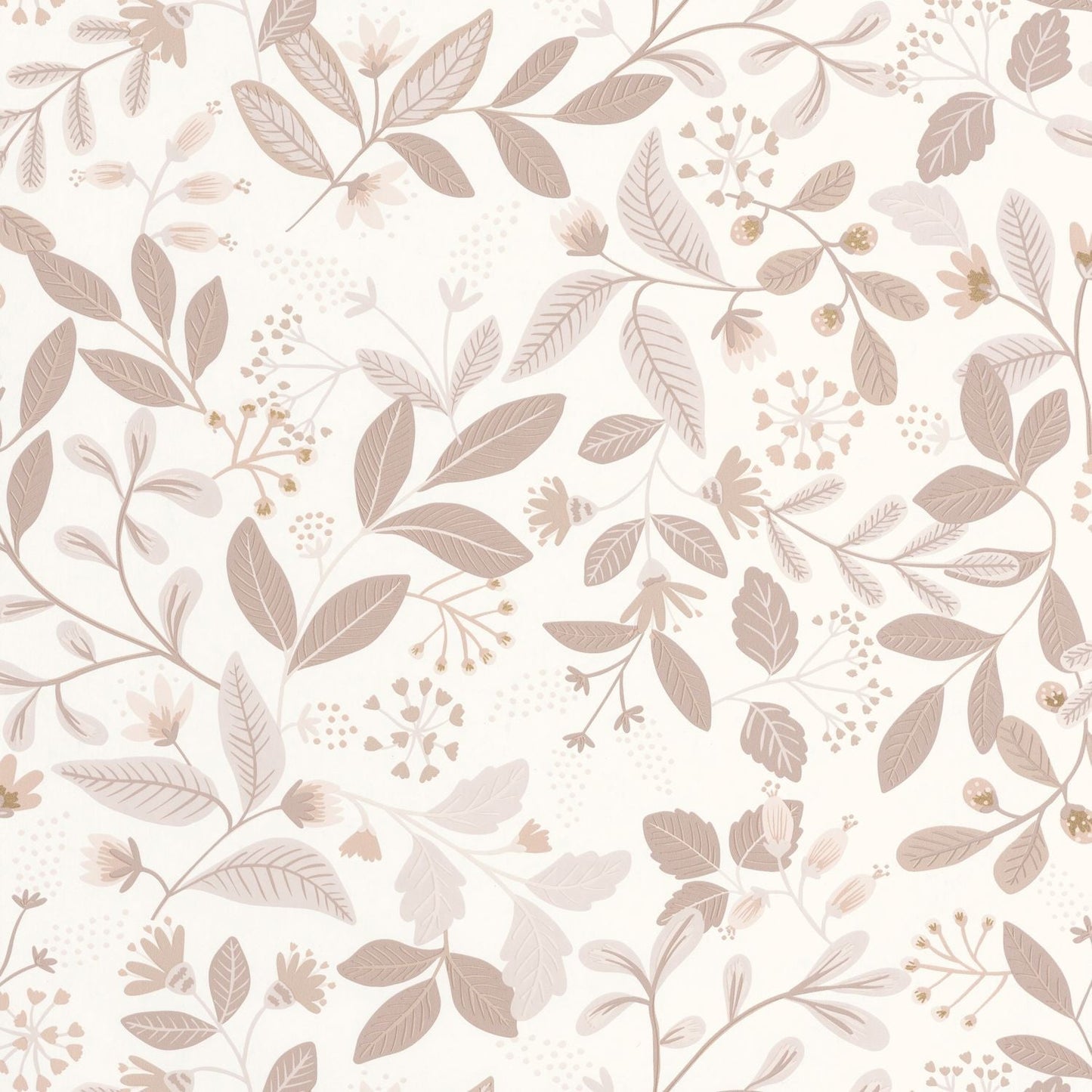 Chloe Wallpaper - Beige - Caselio - 103081020 - Premier Wallcovering
