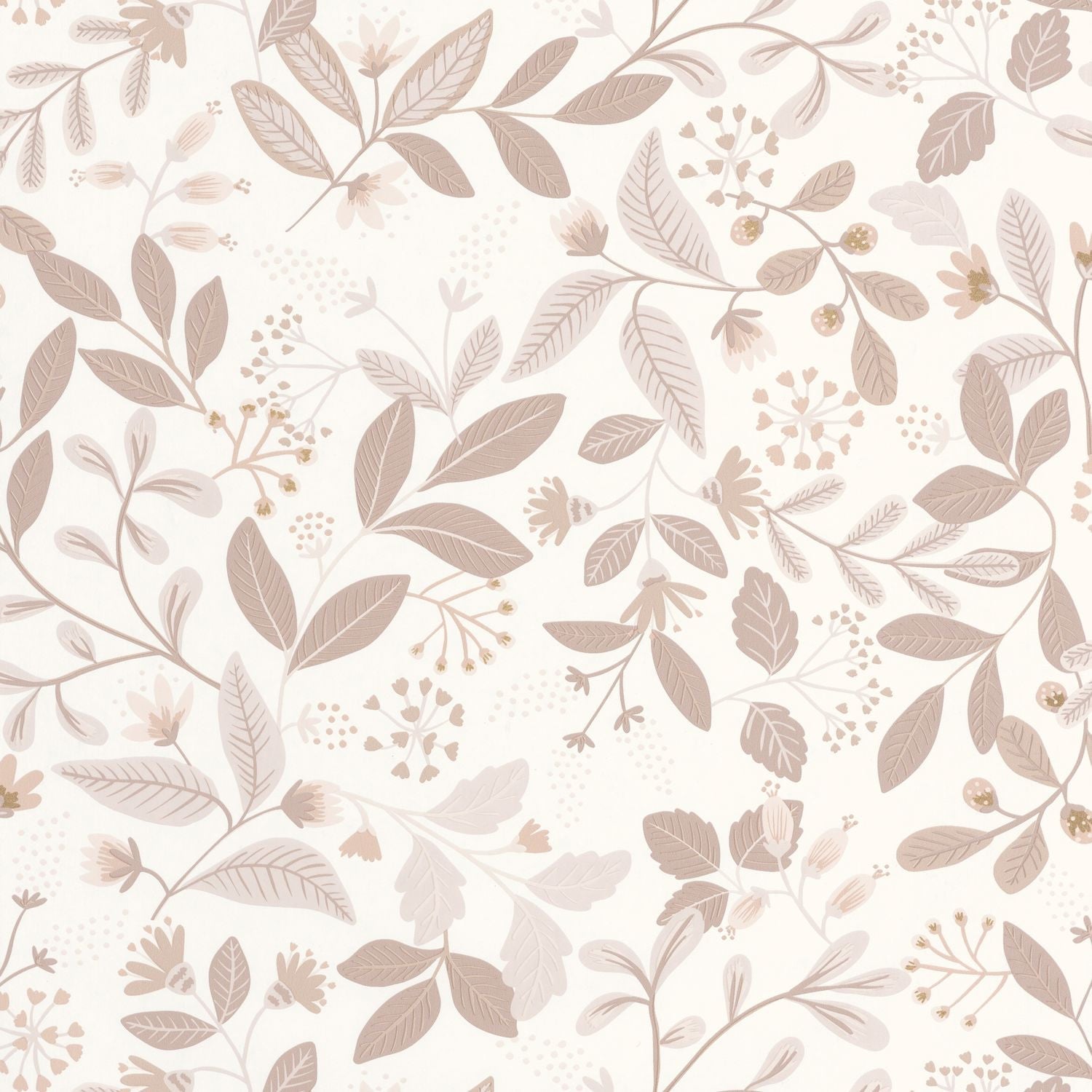 Chloe Wallpaper - Beige - Caselio - 103081020 - Premier Wallcovering
