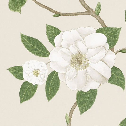 Christabel Wallpaper - Ivory/Cream - DVOY213380 - Sanderson - Premier Wallcovering