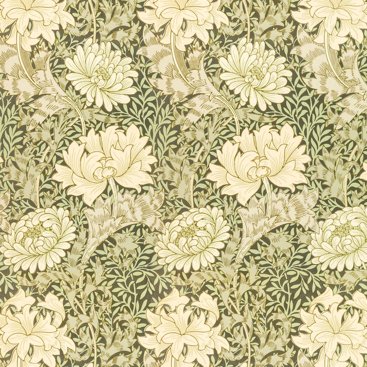 Morris Collections - 1066 - Chrysanthemum Wallpaper - Sage - Premier Wallcovering