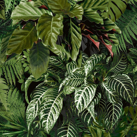 Ciara Living Wall Tropical Leaves Wallpaper - Green - Grandeco - A58601 - Premier Wallcovering