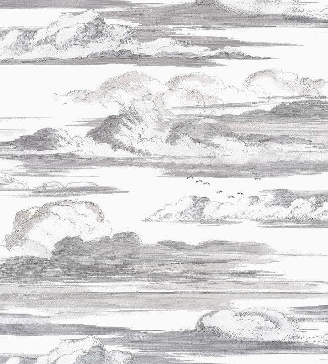 Cielo Wallpaper - Black and White - AT57872 - Anna French - Premier Wallcovering