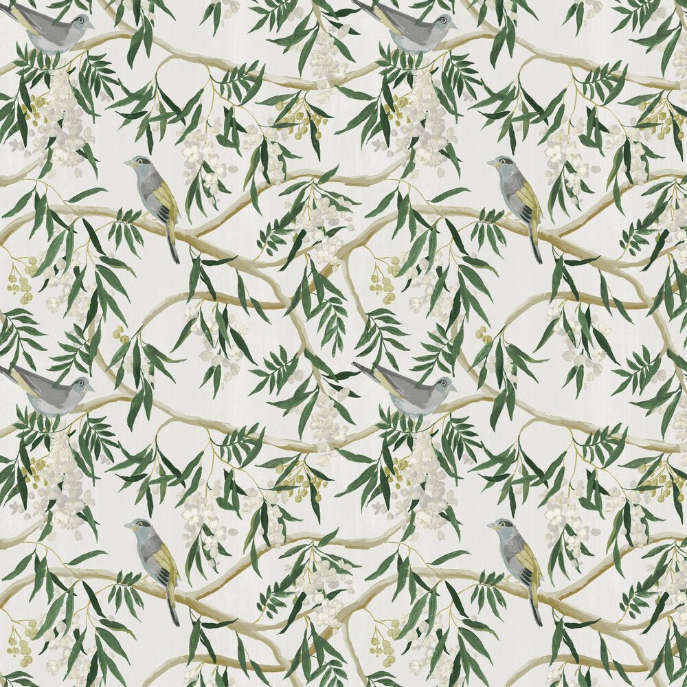 Clarendon Wallpaper - Fern Whisper - Timothy Wilman - TW2517 - Premier Wallcovering