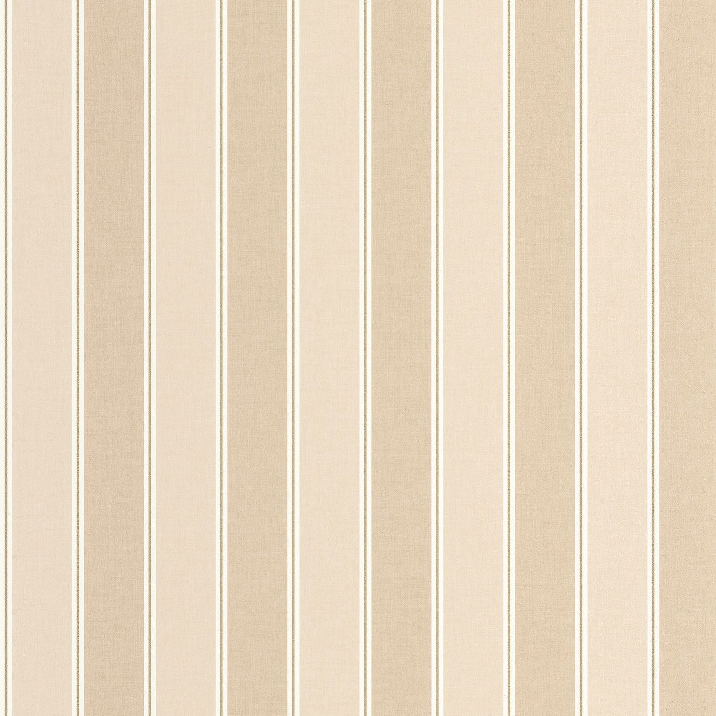 Classic Lines Wallpaper - Beige - Caselio - 106731020 - Premier Wallcovering