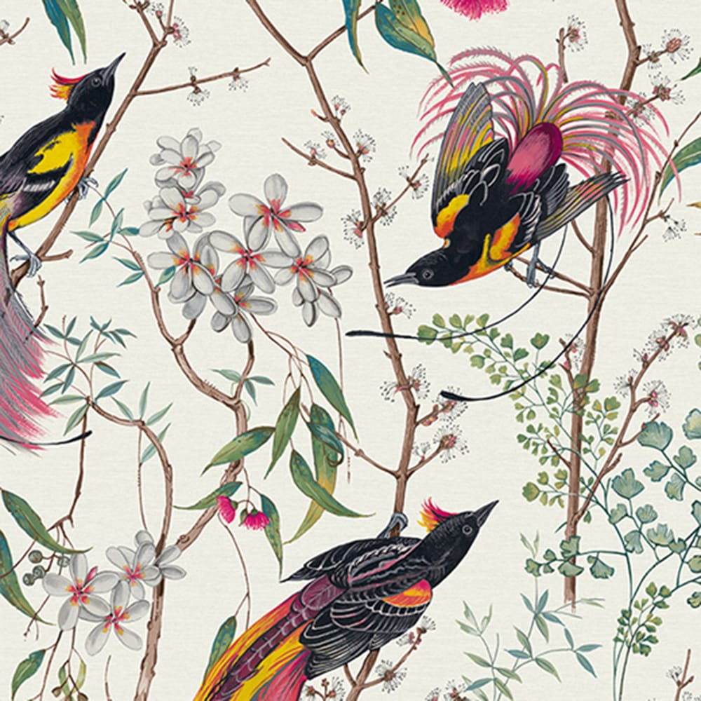 Clavering Birds Day Wallpaper - Multi - Graham & Brown - 121448 - Premier Wallcovering