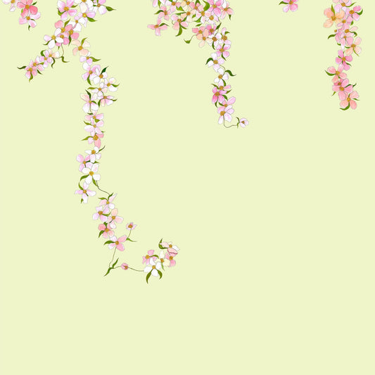 Clematis Wallpaper Mural - Candy - Fraiche - WP16001 - Premier Wallcovering