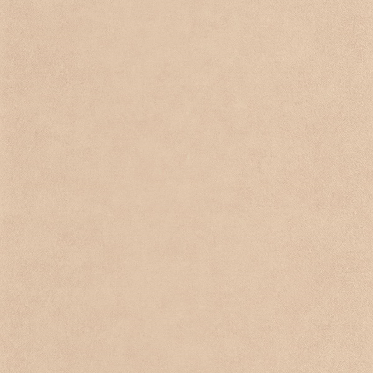 Club Leathers Wallpaper - Creme - Casadeco - 87131311 - Premier Wallcovering