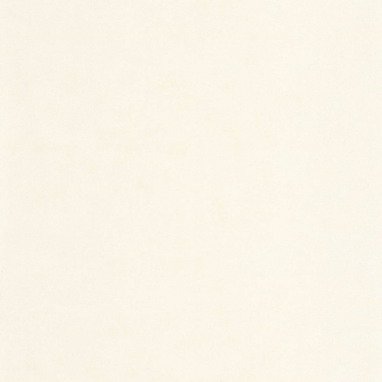 Club Leathers Wallpaper - Blanc Neige - Casadeco - 87130207 - Premier Wallcovering