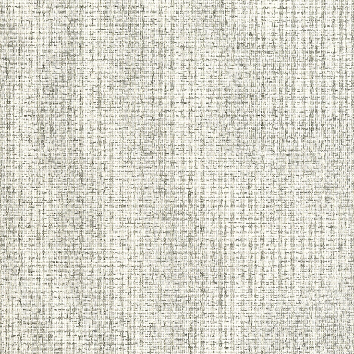 Coastline Wallpaper - Light Moss - Thibaut - T19661 - Premier Wallcovering