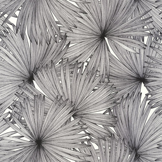 Coconut Wallpaper - Noir Blanc - Caselio - 101249000 - Premier Wallcovering