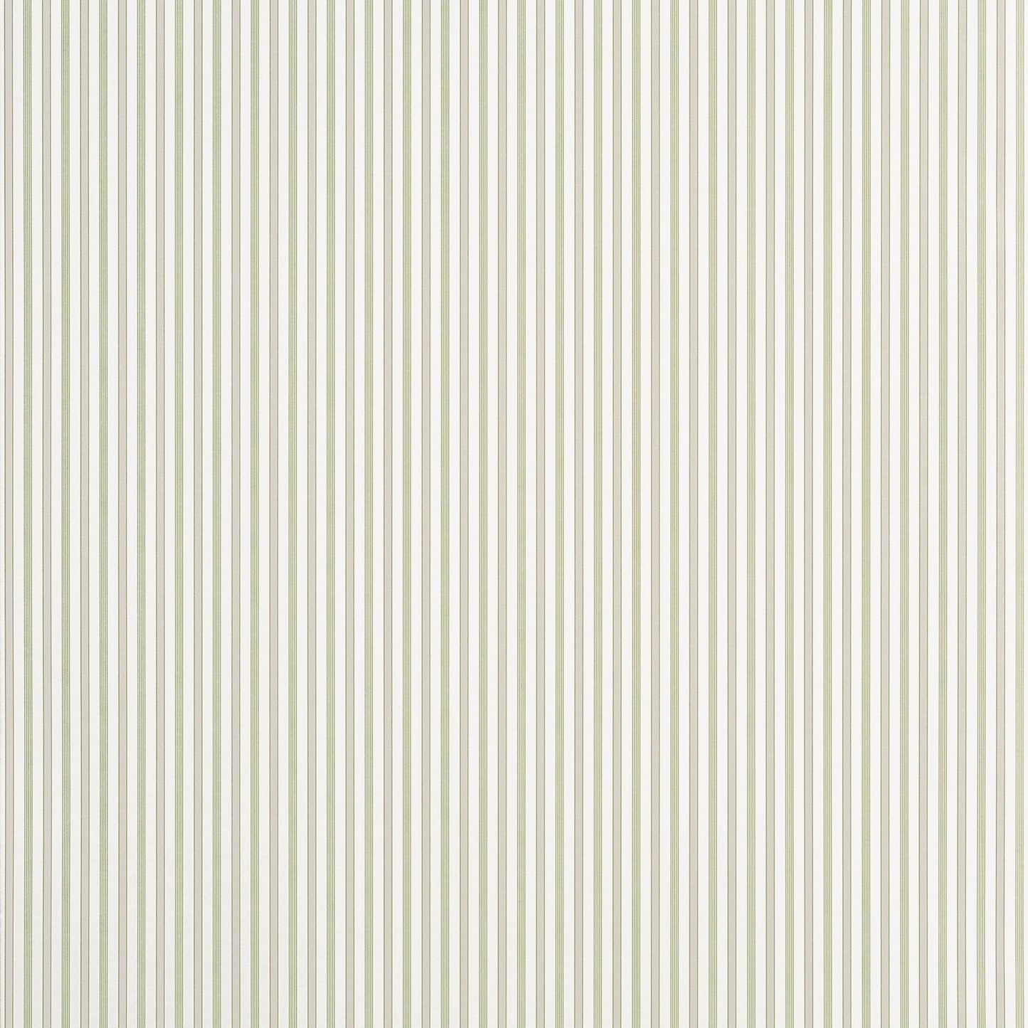 Conner Stripe Wallpaper - Green & Beige - Thibaut - T44066 - Premier Wallcovering