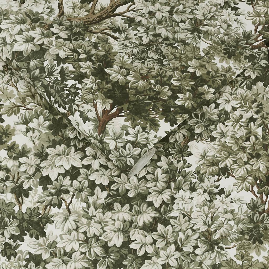Coppice Wallpaper - Sage - Graham & Brown - 119662 - Premier Wallcovering