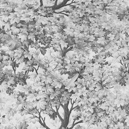 Coppice Wallpaper - Mono - Graham & Brown - 119661 - Premier Wallcovering