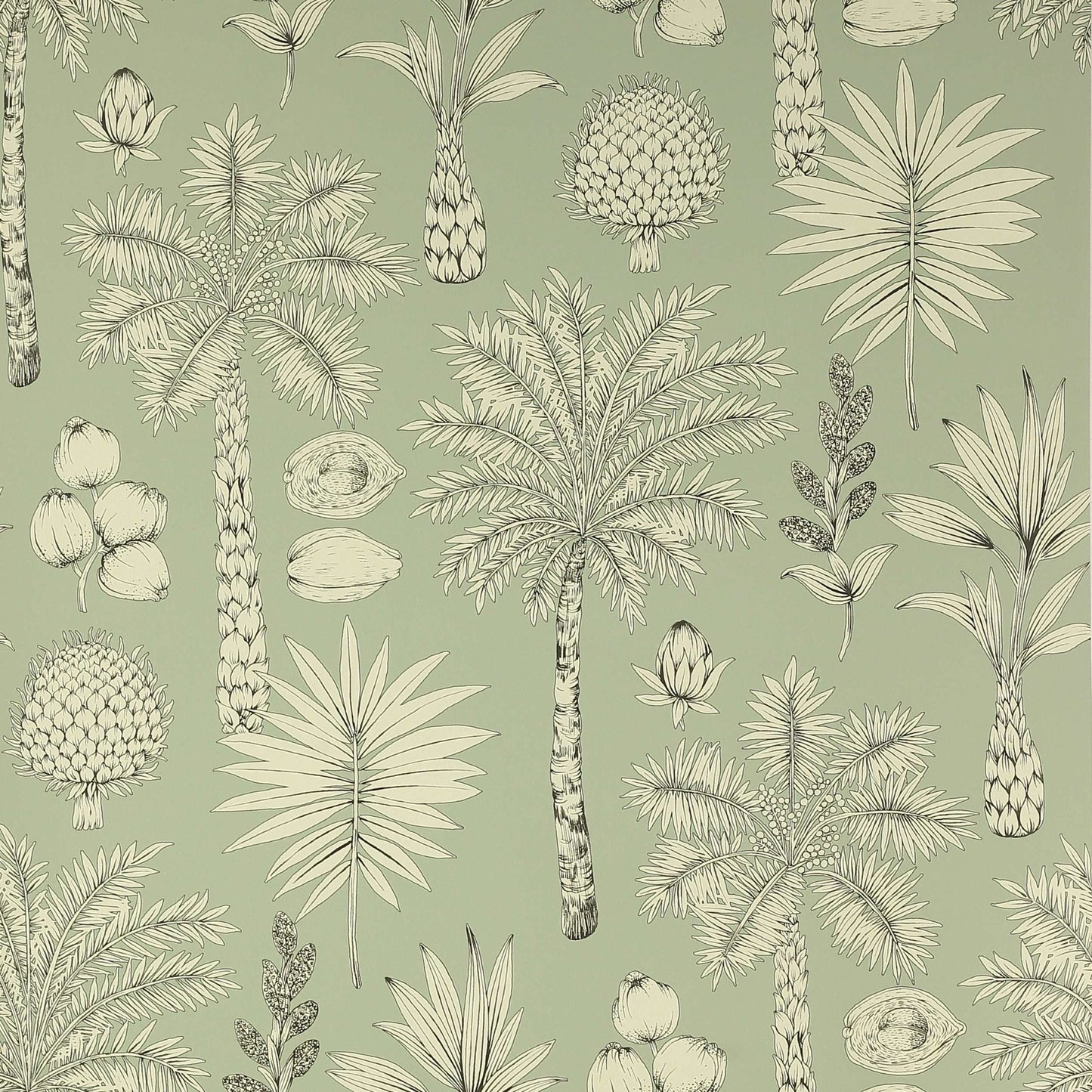 Cote d'Azur Wallpaper - Amande - Manuel Canovas - 03091-01 - Premier Wallcovering