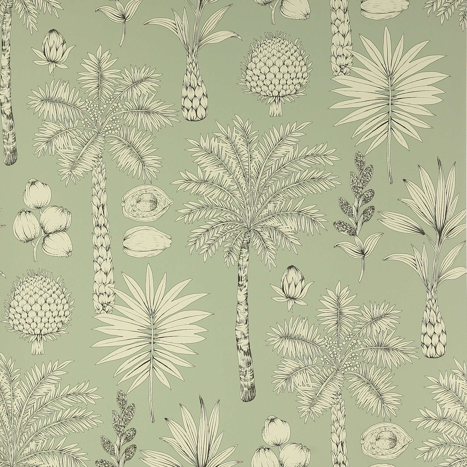 Cote d'Azur Wallpaper - Amande - Manuel Canovas - 03091-01 - Premier Wallcovering
