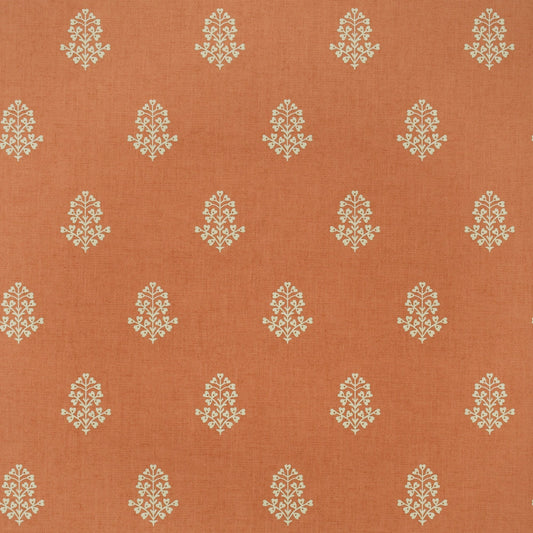 Cow Parsley Wallpaper - Clementine - Andrew Martin - GPWCPCL - Premier Wallcovering