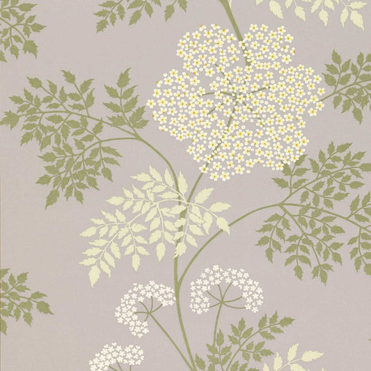 Cowparsley Wallpaper - Amethyst - DOPWCO103 - Sanderson - Premier Wallcovering