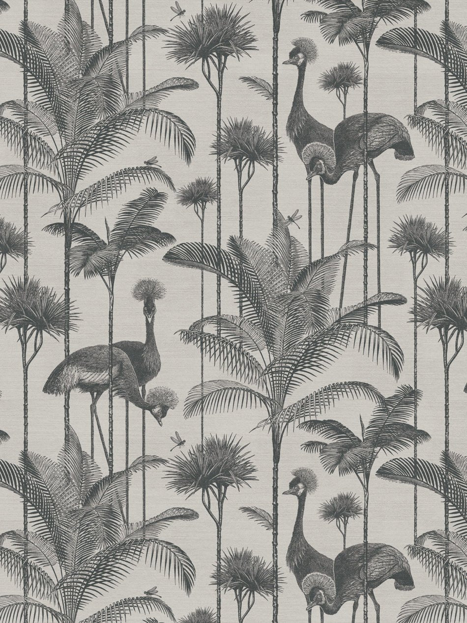 Crane Fonda Recycled Velvet Fabric - Charcoal - Divine Savages - DVS073-CF-CHAR-VEL - Premier Wallcovering