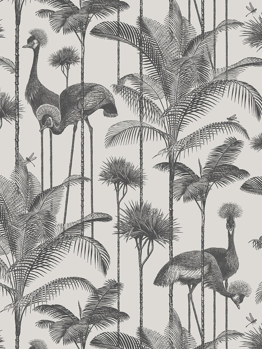 Crane Fonda Wallpaper - Charcoal - Divine Savages - DVS073-CF-CHAR-WR - Premier Wallcovering