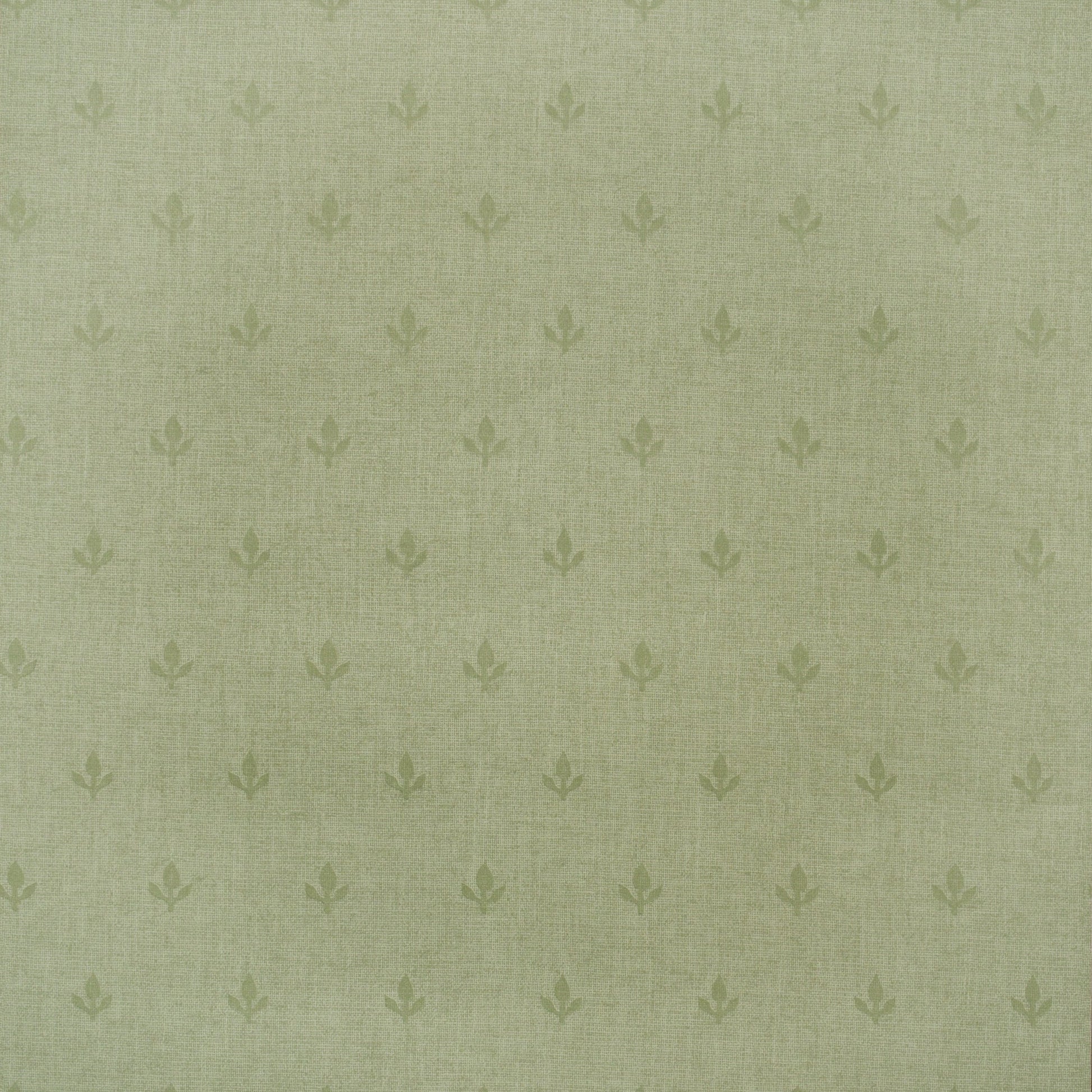 Crocus Wallpaper - Leaf Green - Andrew Martin - GPWCRLF - Premier Wallcovering