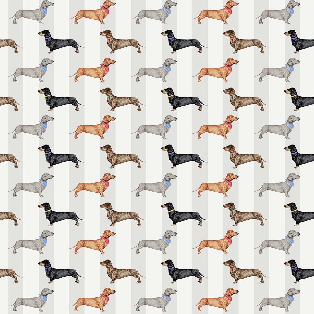 Dachshund Stripe Wallpaper - Natural - The Graduate Collection - AB1DACNATURAL - Premier Wallcovering